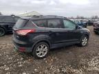 Lot #3023823913 2013 FORD ESCAPE SE