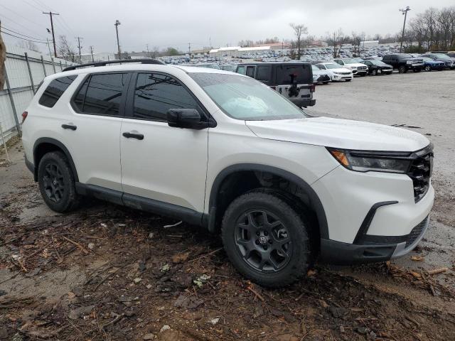 2024 HONDA PILOT TRAI 5FNYG1H65RB036567