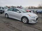 Lot #3037090398 2015 HYUNDAI SONATA HYB