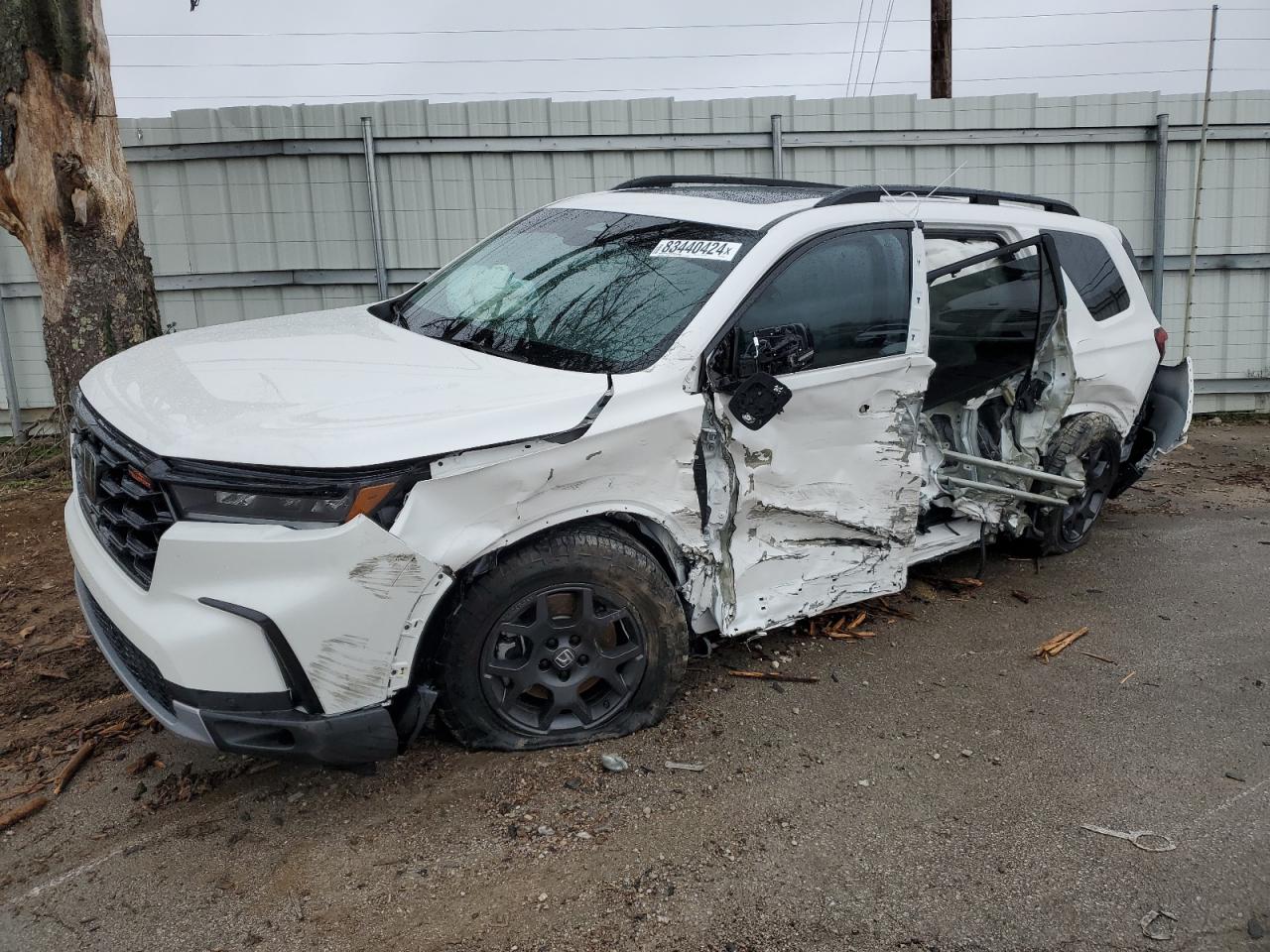 5FNYG1H65RB036567 HONDA PILOT TRAI 2024