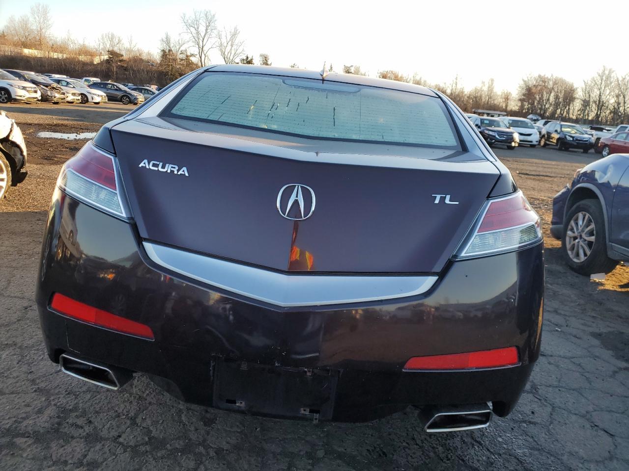 Lot #3034279191 2010 ACURA TL