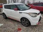 KIA SOUL + photo