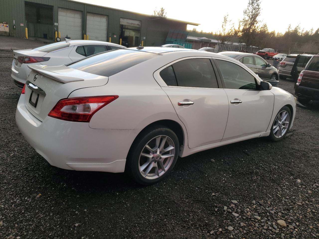 Lot #3029616142 2011 NISSAN MAXIMA S