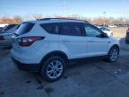 Lot #3033015012 2017 FORD ESCAPE SE