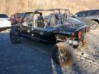 Lot #3024826506 2016 OREI BUGGY