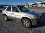 Lot #3024303006 2005 FORD ESCAPE XLT