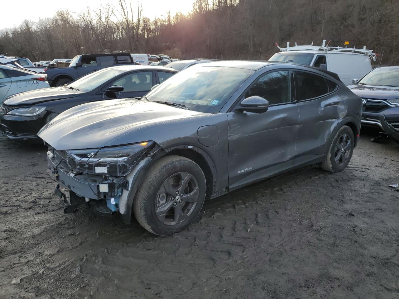 Lot #3052494136 2021 FORD MUSTANG MA