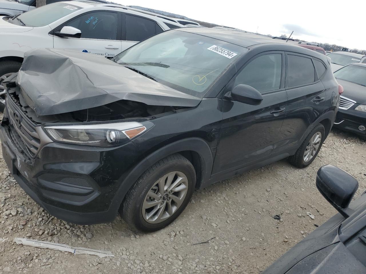 Lot #3034268080 2016 HYUNDAI TUCSON SE