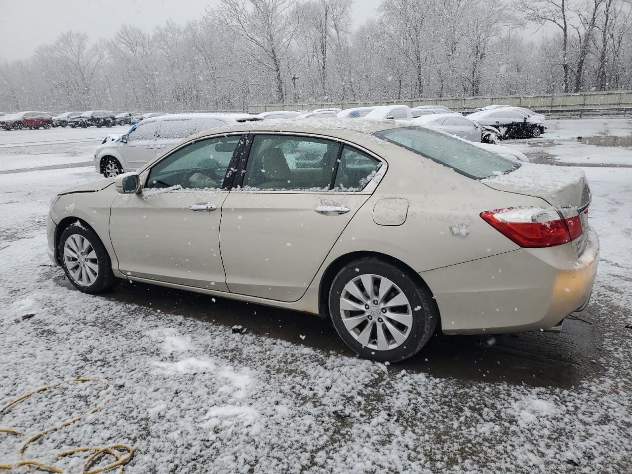 Lot #3030637128 2015 HONDA ACCORD EXL