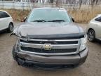 Lot #3027124768 2008 CHEVROLET SILVERADO