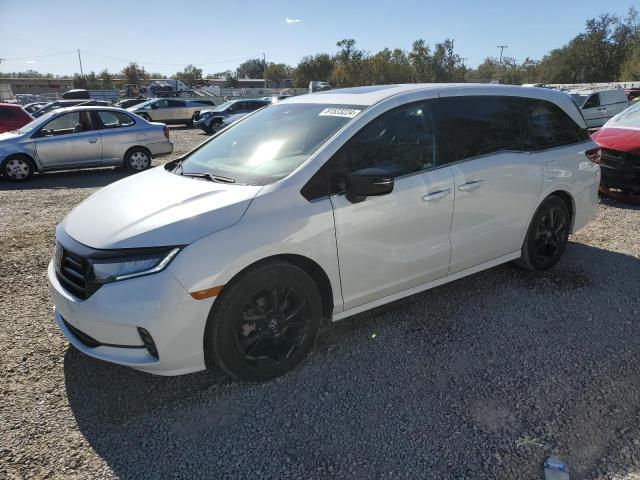 HONDA ODYSSEY SP 2023 white  gas 5FNRL6H78PB004053 photo #1