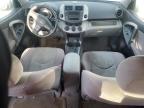 Lot #3022773397 2007 TOYOTA RAV4