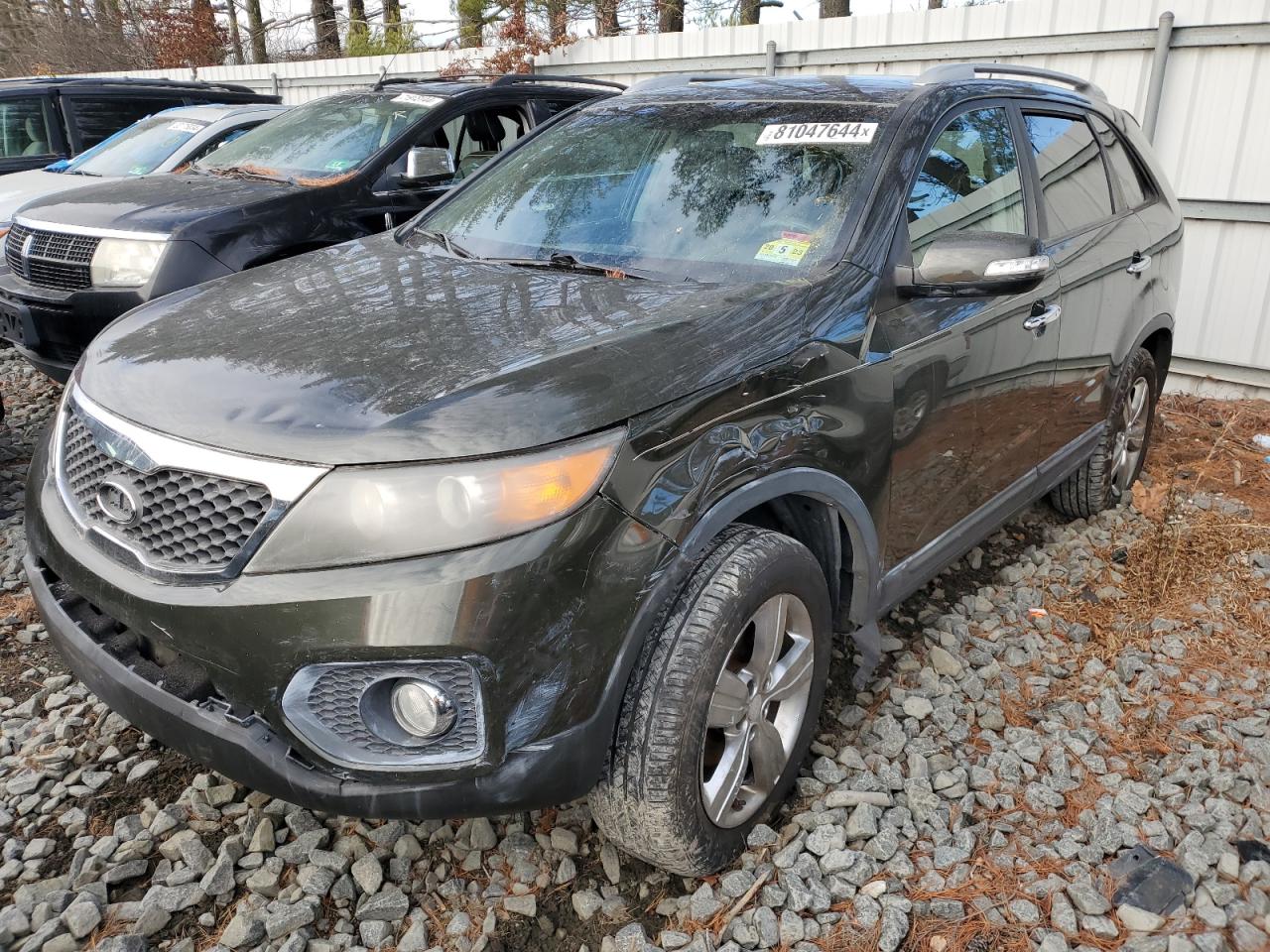 Lot #3033332809 2012 KIA SORENTO EX