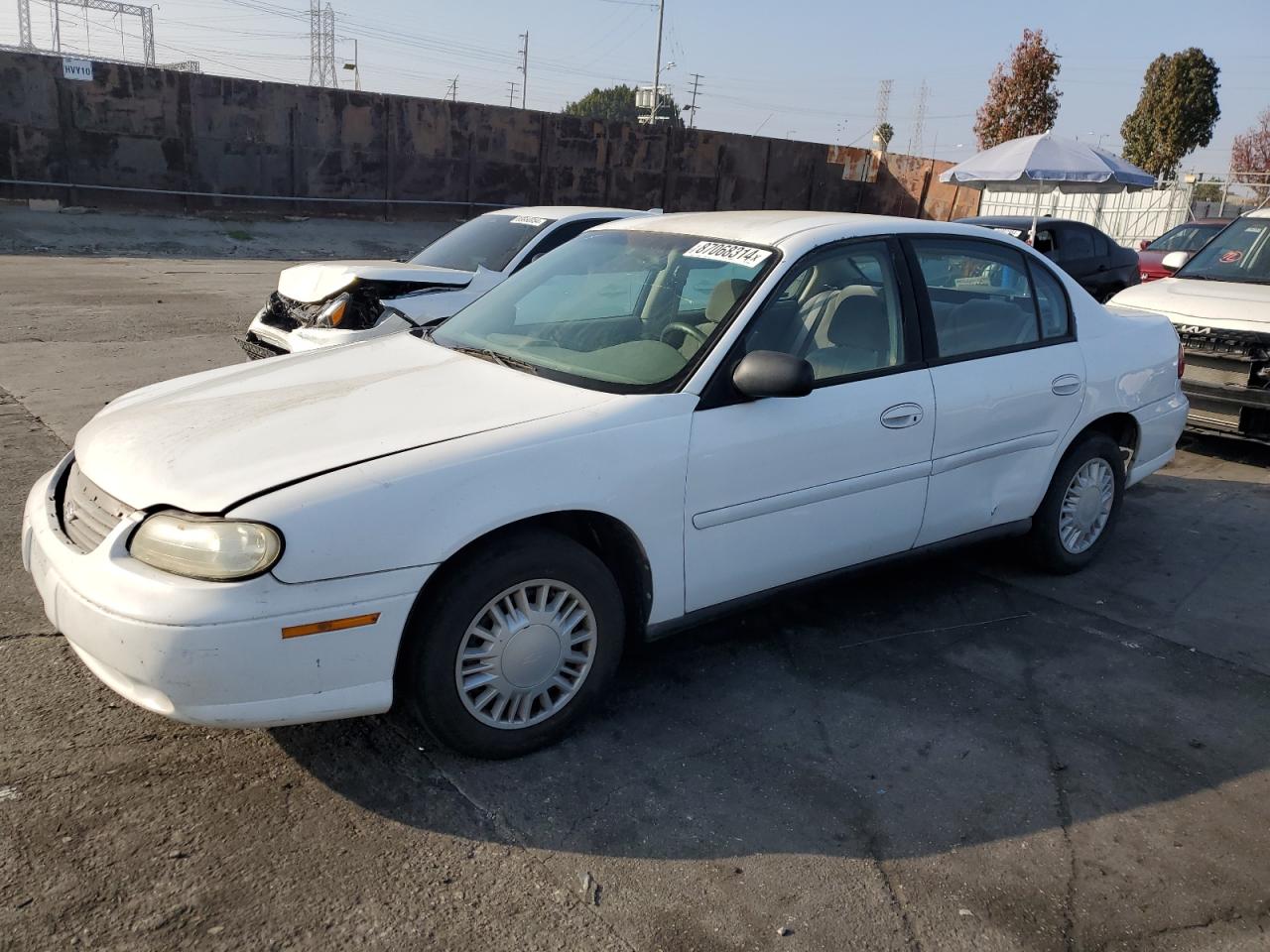 Lot #3050421893 2001 CHEVROLET MALIBU