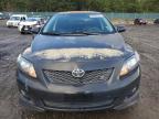 Lot #3034737663 2010 TOYOTA COROLLA BA