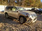 Lot #3025034198 2016 LEXUS GX 460