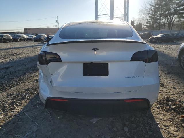 2023 TESLA MODEL Y 7SAYGDEE0PA123559
