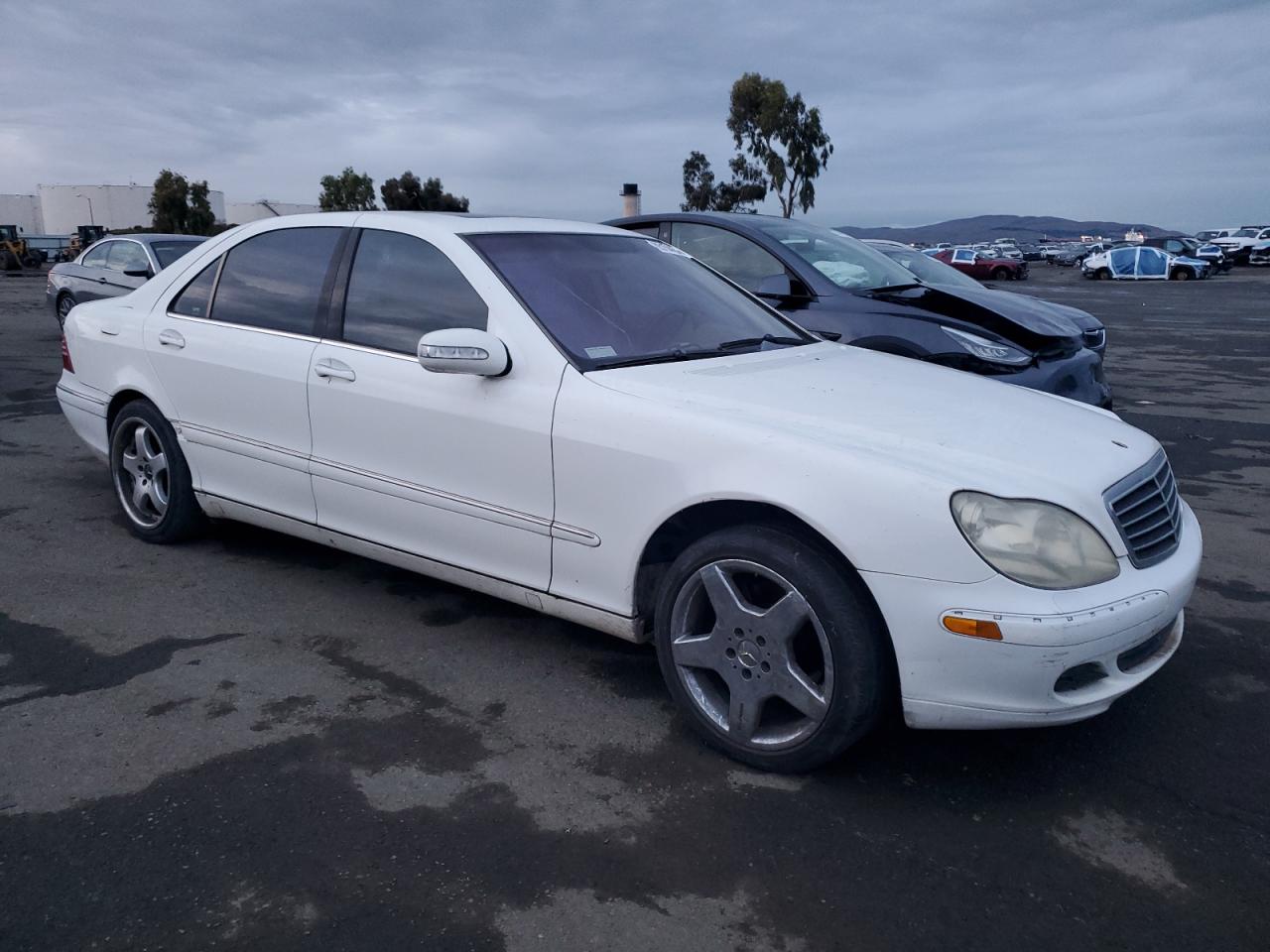 Lot #3025772339 2003 MERCEDES-BENZ S 500