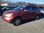 Lot #3025193205 2010 HONDA CR-V EXL