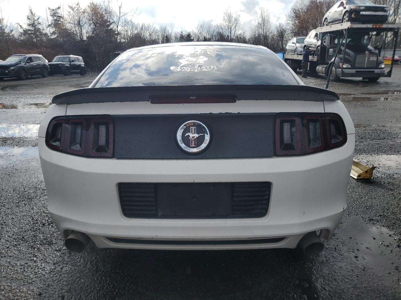 Lot #3045571745 2013 FORD MUSTANG