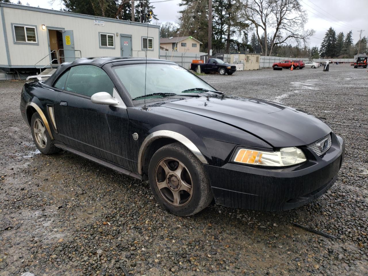 Lot #3034538761 2004 FORD MUSTANG