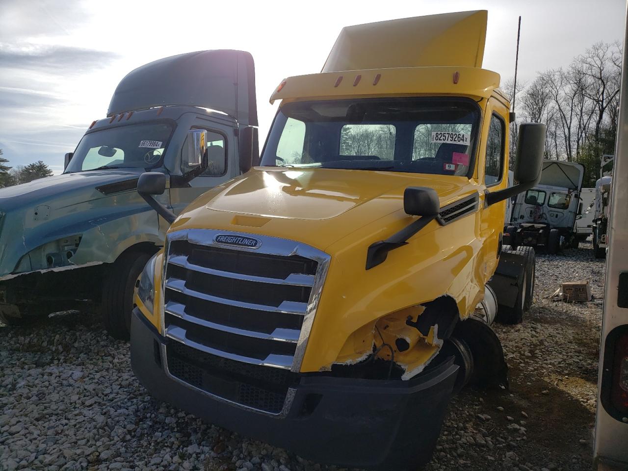 Lot #3024696693 2020 FREIGHTLINER CASCADIA 1