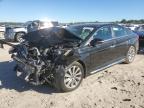 2017 HYUNDAI SONATA SPO - 5NPE34AFXHH522821