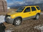 Lot #3025223594 2001 FORD ESCAPE XLT