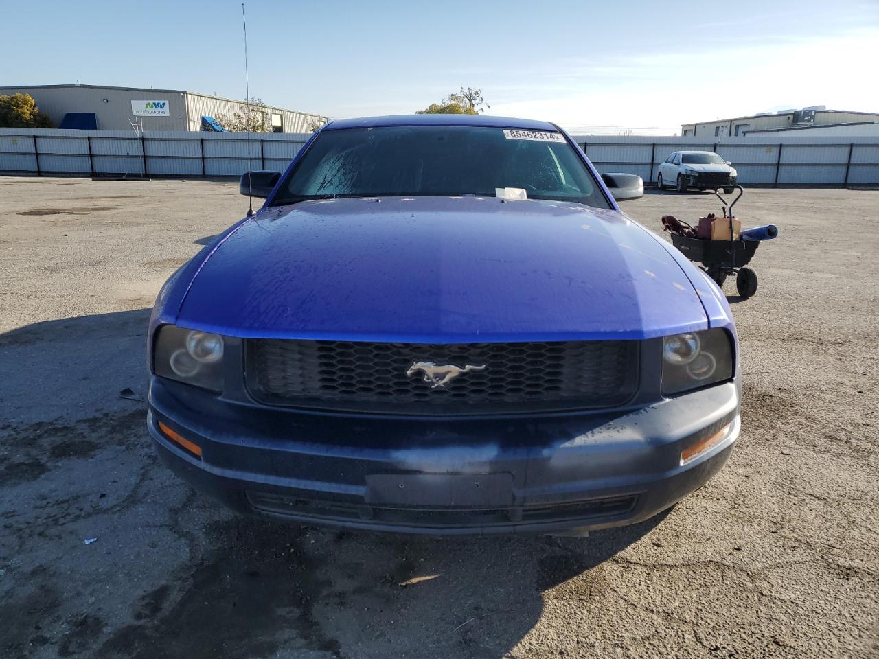 Lot #3040694777 2007 FORD MUSTANG