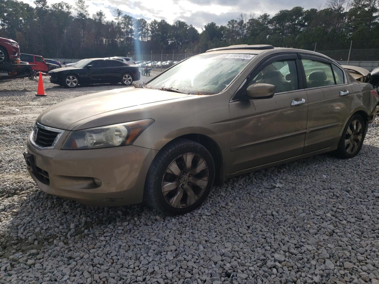 Lot #3028380819 2009 HONDA ACCORD EXL