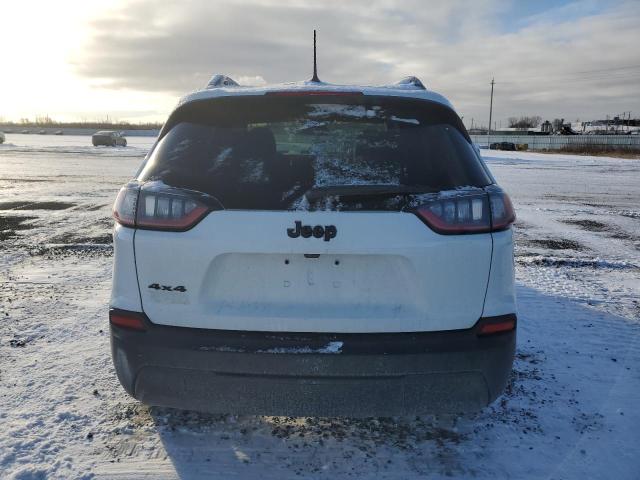 2023 JEEP CHEROKEE A 1C4PJMMB4PD103424