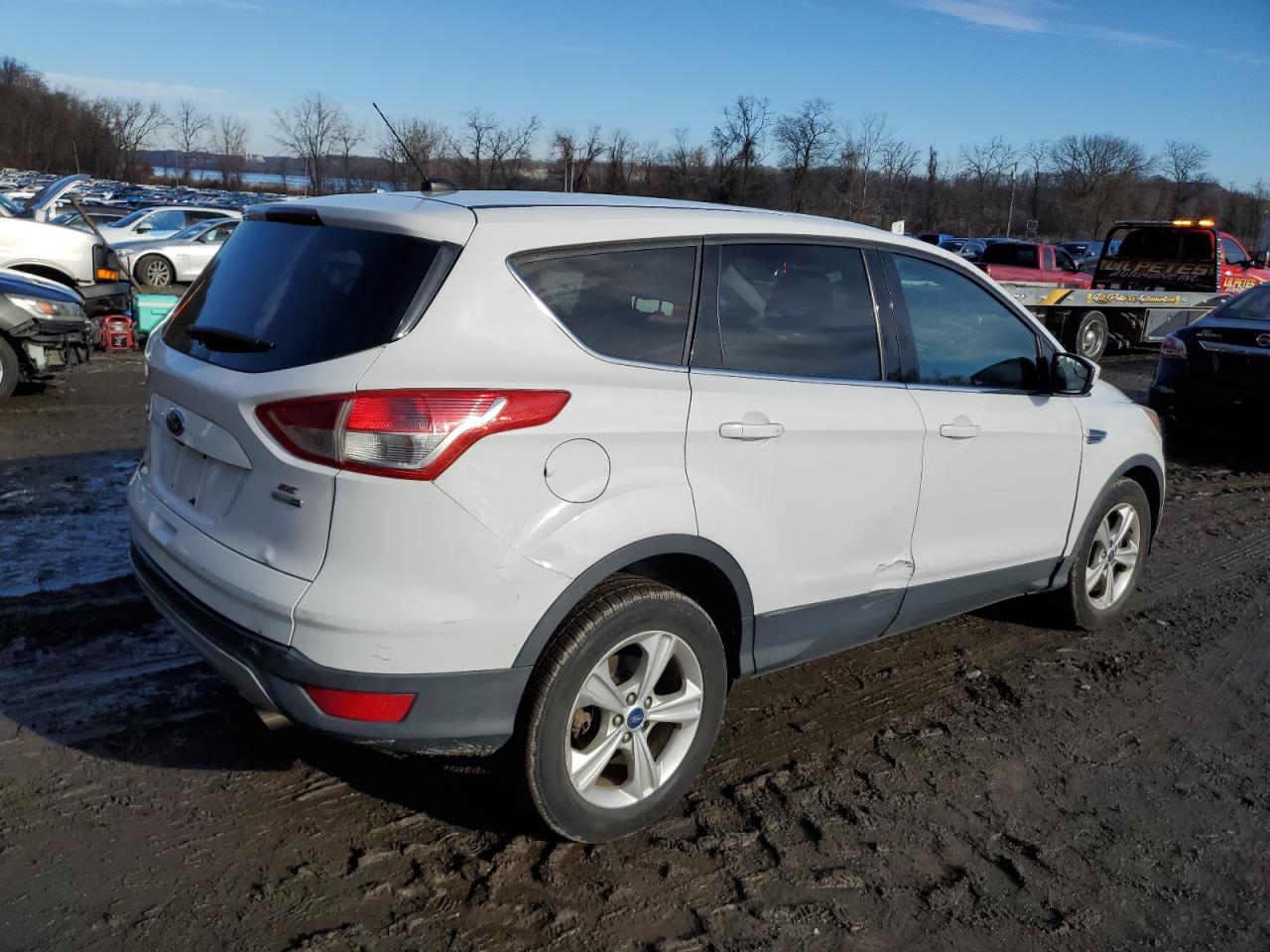 Lot #3044392796 2014 FORD ESCAPE SE