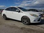 Lot #3025077285 2013 FORD FOCUS SE