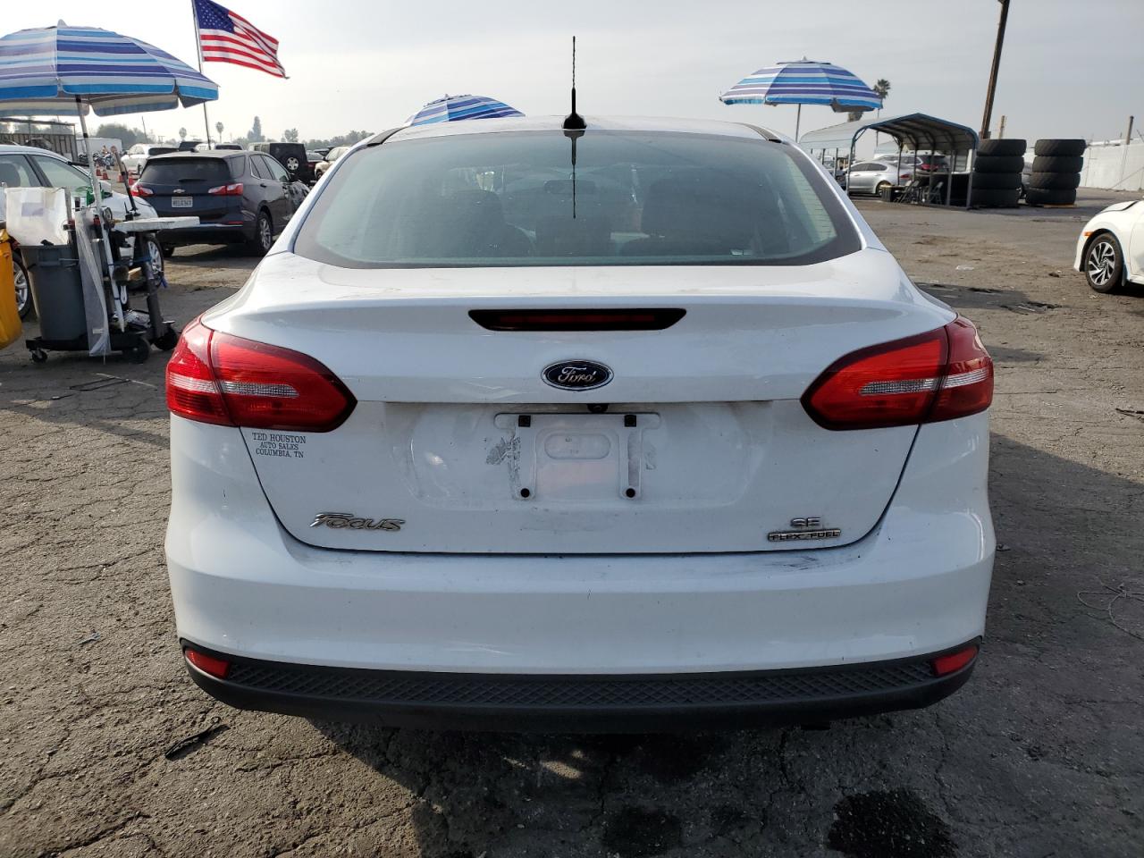 Lot #3034514776 2016 FORD FOCUS SE