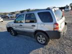 Lot #3024303006 2005 FORD ESCAPE XLT