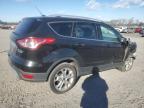 Lot #3030546466 2014 FORD ESCAPE TIT