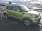 Lot #3034360075 2014 KIA SOUL