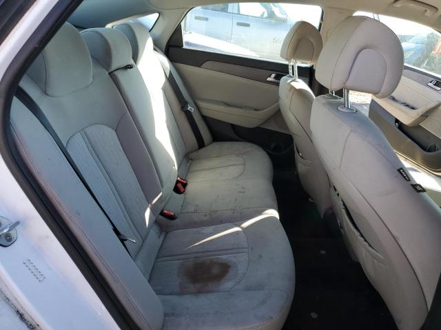 2017 HYUNDAI SONATA PLU - KMHE14L25HA065208