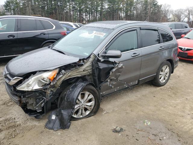 HONDA CR-V EXL 2010 charcoal  gas 5J6RE4H77AL064029 photo #1