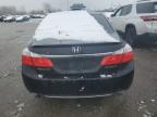 Lot #3033005989 2014 HONDA ACCORD SPO