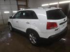 Lot #3025072217 2012 KIA SORENTO EX