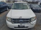 Lot #3024428551 2012 FORD ESCAPE