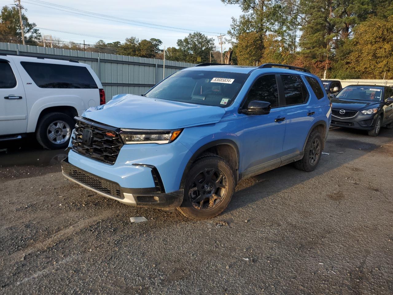 5FNYG1H62RB000786 HONDA PILOT TRAI 2024