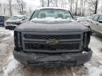 Lot #3023705028 2014 CHEVROLET SILVERADO