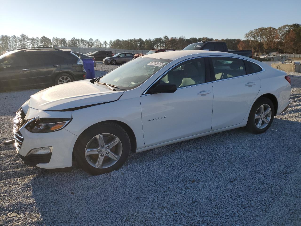 Lot #3034396114 2020 CHEVROLET MALIBU LS