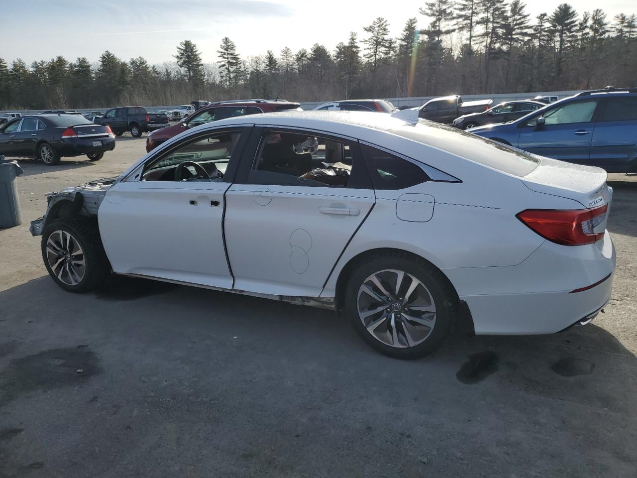 Lot #3316023764 2020 HONDA ACCORD HYB