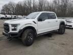 2017 FORD F150 RAPTO - 1FTFW1RGXHFB97217