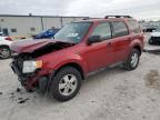 Lot #3034567784 2012 FORD ESCAPE XLT