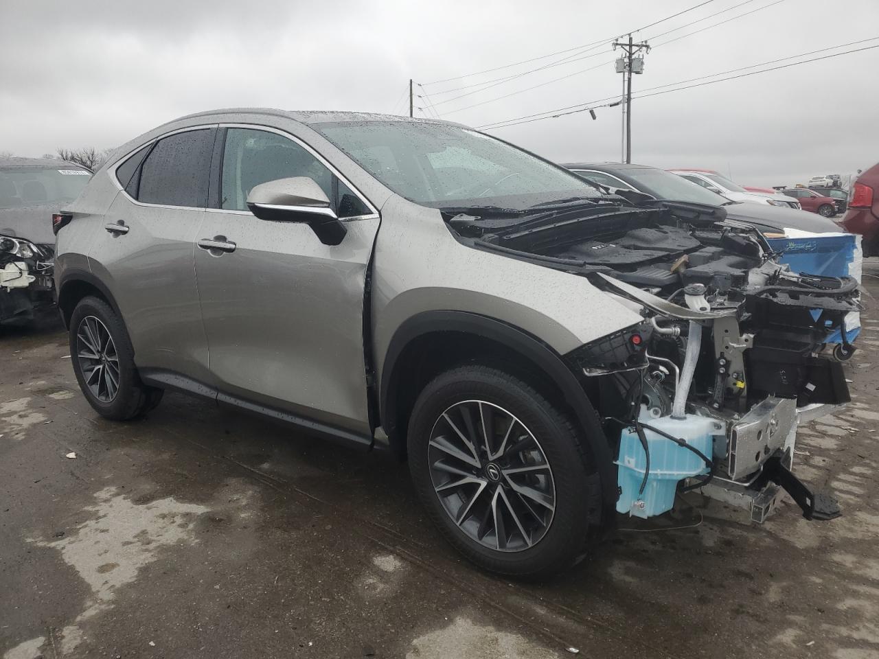 Lot #3029616082 2025 LEXUS NX 250 PRE