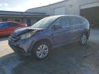 Lot #3027281284 2014 HONDA CR-V EX